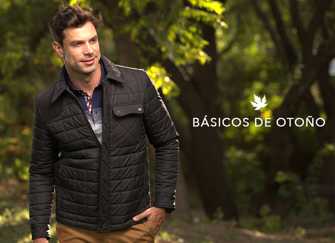 BÁSICOS DE OTOÑO